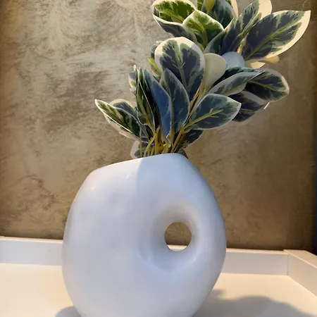 North View Onix Pipera * 布加勒斯特